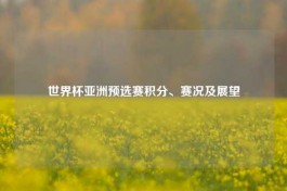 世界杯亚洲预选赛积分、赛况及展望