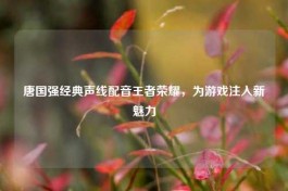 唐国强经典声线配音王者荣耀，为游戏注入新魅力