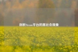 剖析Steam平台的黑社会现象