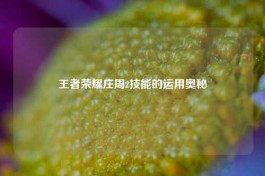 王者荣耀庄周2技能的运用奥秘