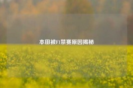 本田被F1禁赛原因揭秘