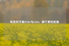 电竞双子星PUBG与CSGO，哪个更吃配置