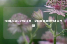 2010年世界杯冠军决赛，足球盛宴巅峰对决完整版