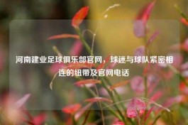 河南建业足球俱乐部官网，球迷与球队紧密相连的纽带及官网     