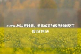 2020NBA总决赛时间，篮球盛宴的聚焦时刻及百度百科相关