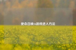 使命召唤16游戏进入 *** 