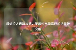 微信拉人进群攻略，无需对方同意轻松拓展社交圈