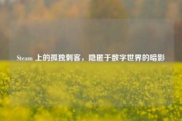 Steam 上的孤独刺客，隐匿于数字世界的暗影