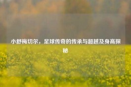 小舒梅切尔，足球传奇的传承与超越及身高探秘