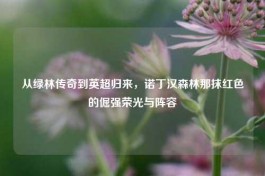 从绿林传奇到英超归来，诺丁汉森林那抹红色的倔强荣光与阵容