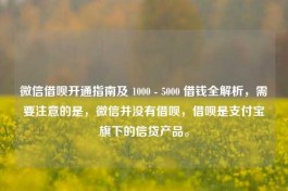 微信借呗开通指南及 1000 - 5000 借钱全解析，需要注意的是，微信并没有借呗，借呗是支付宝旗下的信贷产品。