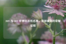 2021 与 2022 世界杯出线名单，足球盛宴的荣耀征程