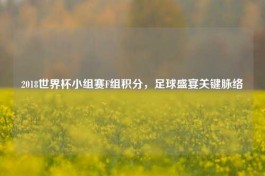 2018世界杯小组赛F组积分，足球盛宴关键脉络