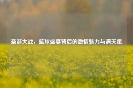 圣诞大战，篮球盛宴背后的     魅力与满天星