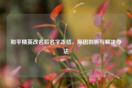 和平精英改名后名字冻结，原因剖析与解决办法