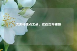 美洲杯焦点之战，巴西对阵秘鲁