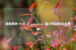 深度解析 PUBG 之 pubgivoryset 箱子物品预览全攻略