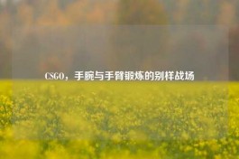 CSGO，手腕与手臂锻炼的别样战场