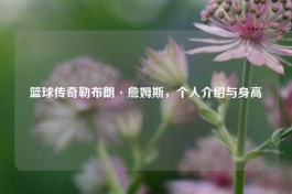 篮球传奇勒布朗·詹姆斯，个人介绍与身高