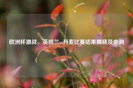 欧洲杯激战，英格兰vs丹麦比赛结果揭晓及查询