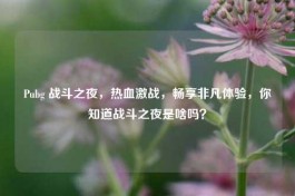 Pubg 战斗之夜，热血激战，畅享非凡体验，你知道战斗之夜是啥吗？