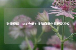      碰撞！NBA 火箭对快船直播全解析及视频