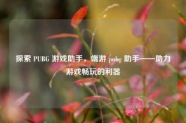 探索 PUBG 游戏助手，端游 pubg 助手——助力游戏畅玩的利器