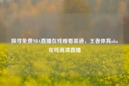 探寻免费NBA直播在线观看渠道，王者体育nba在线高清直播