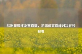 欧洲超级杯决赛直播，足球盛宴巅峰对决在线观看