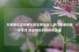 天津泰达足球俱乐部官网首页，津门虎魂的数字港湾 球迷球队的双向奔赴站