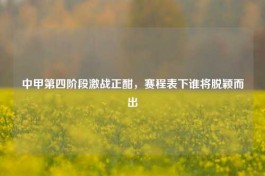 中甲第四阶段激战正酣，赛程表下谁将脱颖而出