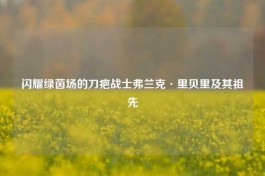 闪耀绿茵场的刀疤战士弗兰克·里贝里及其祖先