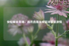 快船掘金直播，雨燕直播呈现篮球盛宴     