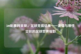 500彩票网呈现，足球竞猜结果——     与理     织的足球世界缩影