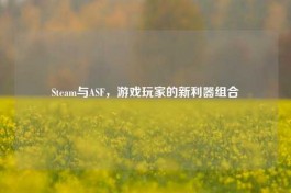 Steam与ASF，游戏玩家的新利器组合
