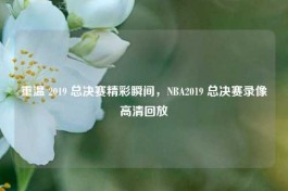 重温 2019 总决赛精彩瞬间，NBA2019 总决赛录像高清回放