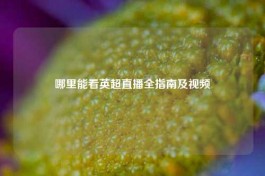 哪里能看英超直播全指南及视频