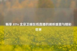 畅享      V6 北京卫视在线直播的视听盛宴与精彩世界