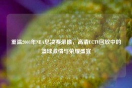 重温2008年NBA总决赛录像，高清CCTV回放中的篮球     与荣耀盛宴