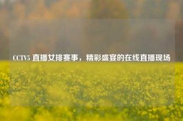 CCTV5 直播女排赛事，精彩盛宴的在线直播现场