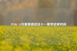 PUBG 11月赛事激战及十一赛季结束时间