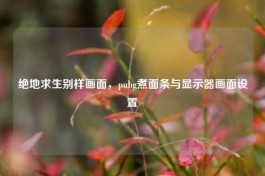 绝地求生别样画面，pubg煮面条与显示器画面设置