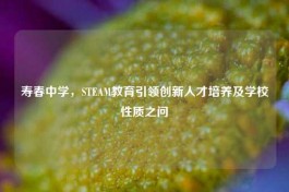 寿春中学，STEAM教育引领创新人才培养及学校性质之问