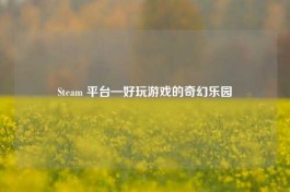 Steam 平台—好玩游戏的奇幻乐园