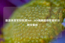 新浪体育实时呈现2019 - 2020瑞典超级联赛积分榜全解析