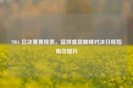 NBA 总决赛赛程表，篮球盛宴巅峰对决日程指南及图片