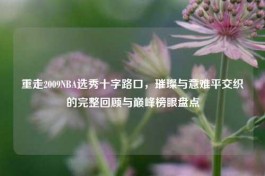 重走2009NBA选秀十字路口，璀璨与意难平交织的完整回顾与巅峰榜眼盘点