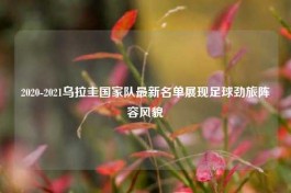 2020-2021乌拉圭国家队最新名单展现足球劲旅阵容风貌