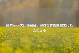 探索Steam大厅控制台，游戏世界的隐藏之门及命令大全