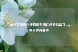 广东体育频道在线直播无插件观看指南及 app 畅享体育赛事
